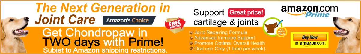 Dog Joint Supplement in Amazon