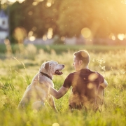 Tips for Keeping Your Dog Free from Tick-Borne Diseases